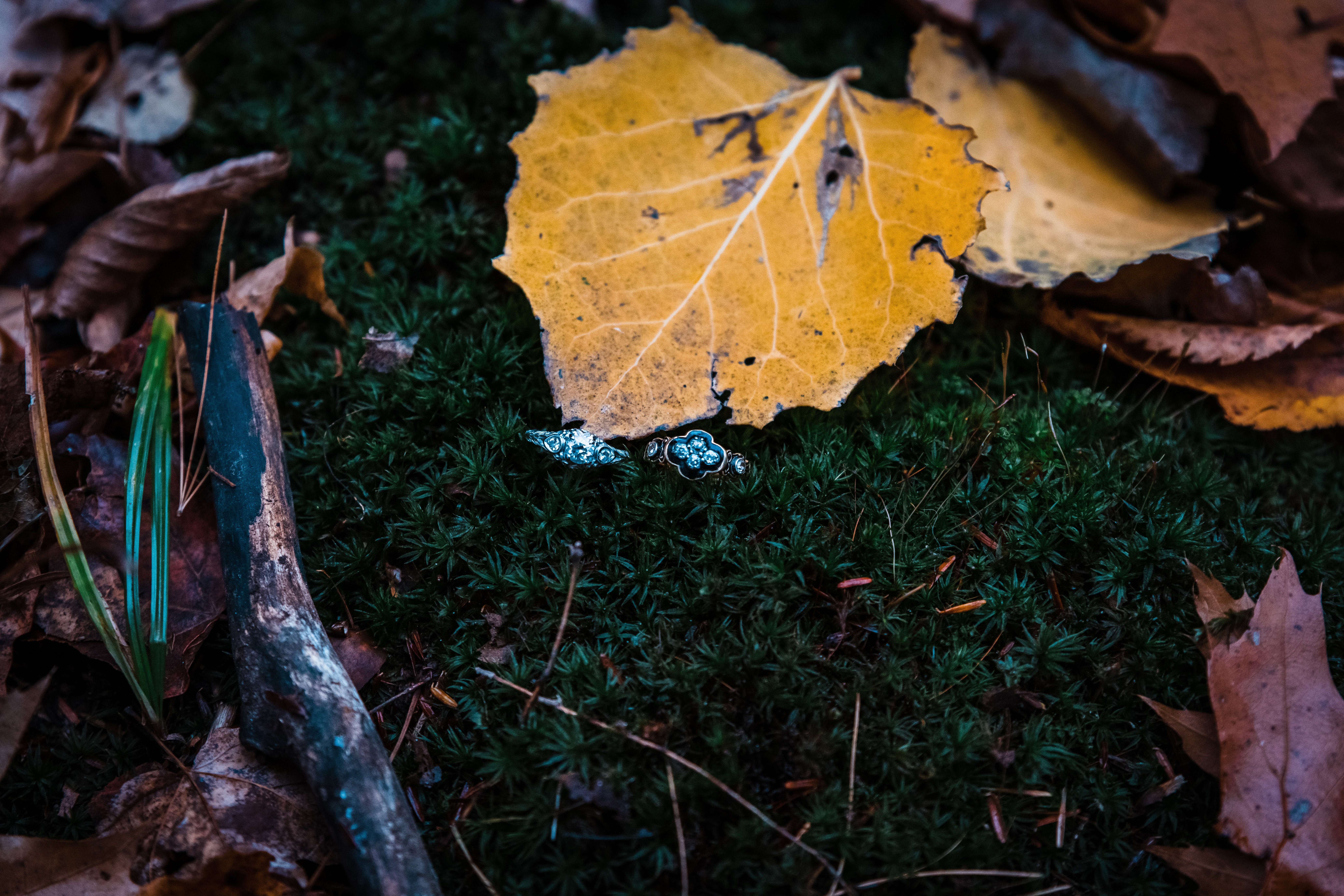 Detail shots are just as important as portraits because they help you remember the little things. Here, two engagement rings sit together on a patch of moss with a fall leaf nearby. I love capturing the details.
